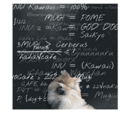 735048258