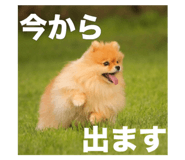 735048261