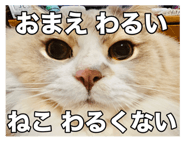 735048264