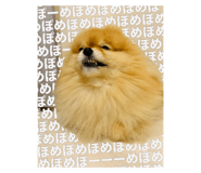 735048272