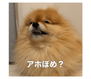 735048277