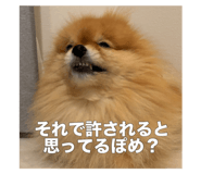 735048278