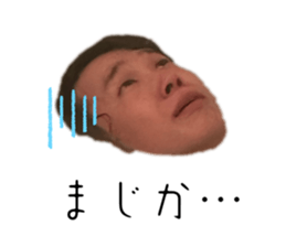 735066804