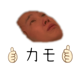 735066812