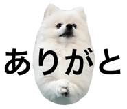 735076666