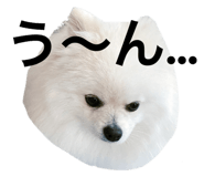 735076673