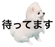735076676