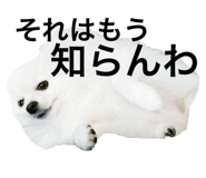735076681