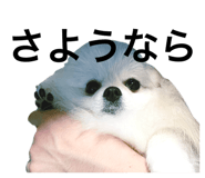 735076682
