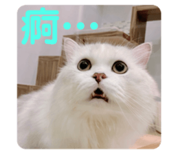 735079738