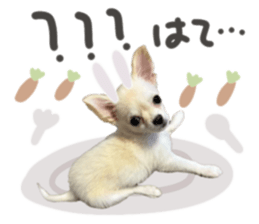735079768