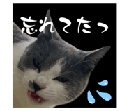 735081400