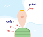 735081746