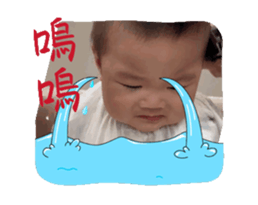 735081815