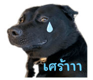 735083614