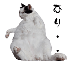 735085679