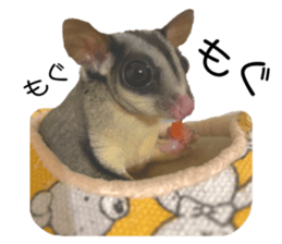 735087120