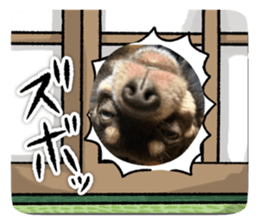 735097329