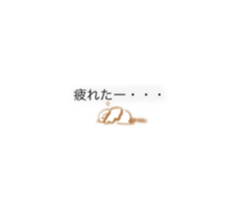 735110288
