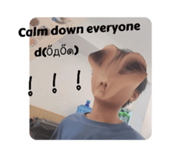 735117186