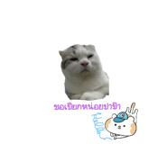 735127214