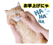 735135761