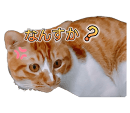735146071