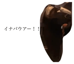 735148889