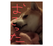 735153634