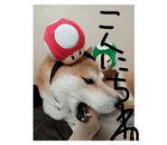 735153640