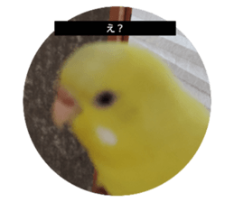 735186698