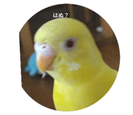 735186704