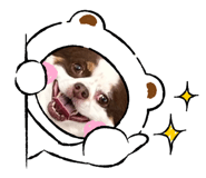 735186978