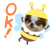 735186990