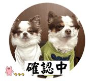 735187008