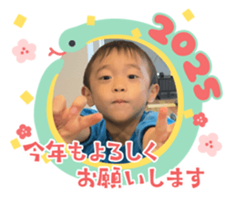 735201325