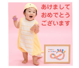 735203991