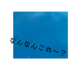 735243315