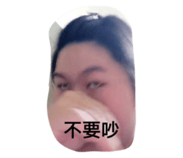 735264816