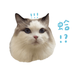 735265603