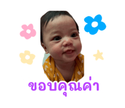 735290255