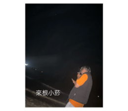 735291326