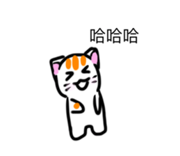 735300251