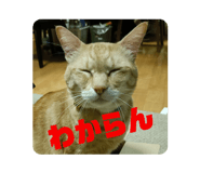 735325430