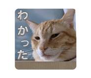 735325434