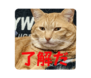 735325435