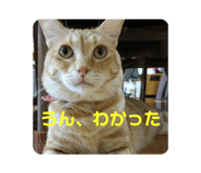 735325438