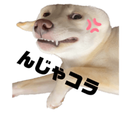 735325651