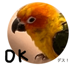 735325806