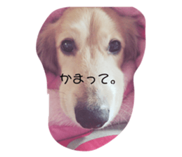 735379008
